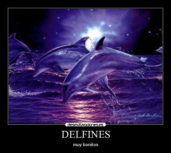 DELFINES - 