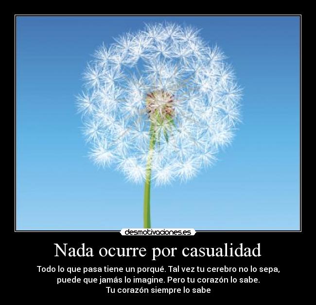 Nada ocurre por casualidad - 