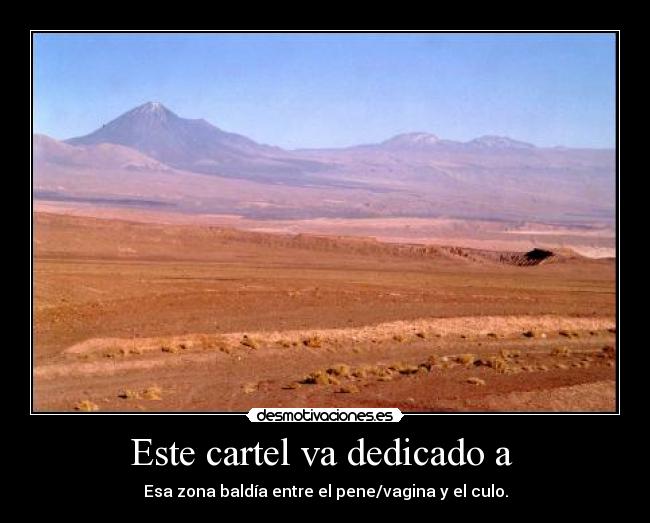 Este cartel va dedicado a  - Esa zona baldía entre el pene/vagina y el culo.