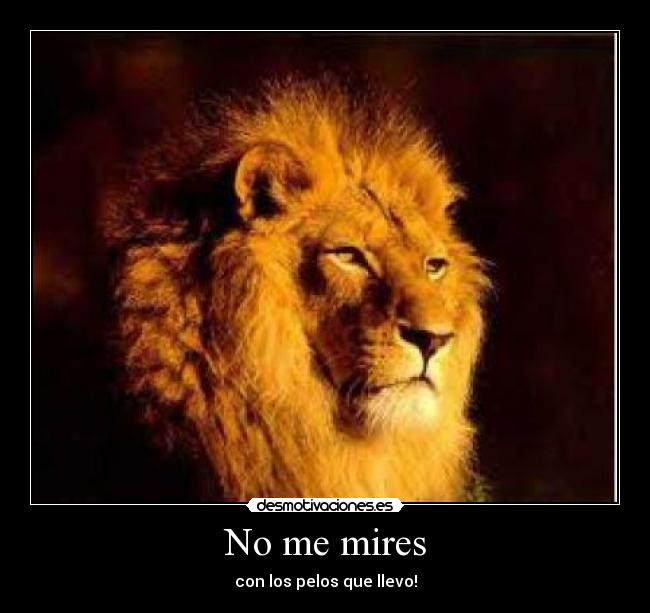 No me mires - con los pelos que llevo!