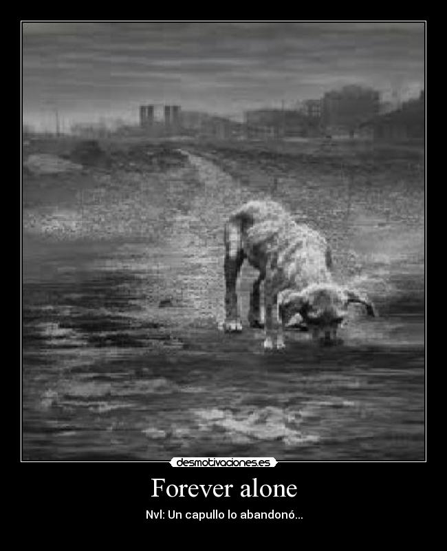 Forever alone - Nvl: Un capullo lo abandonó...