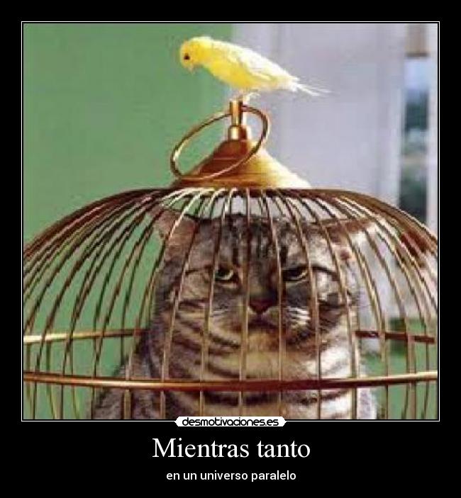 Mientras tanto - en un universo paralelo