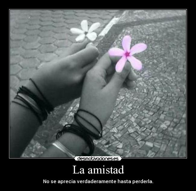 La amistad - No se aprecia verdaderamente hasta perderla.