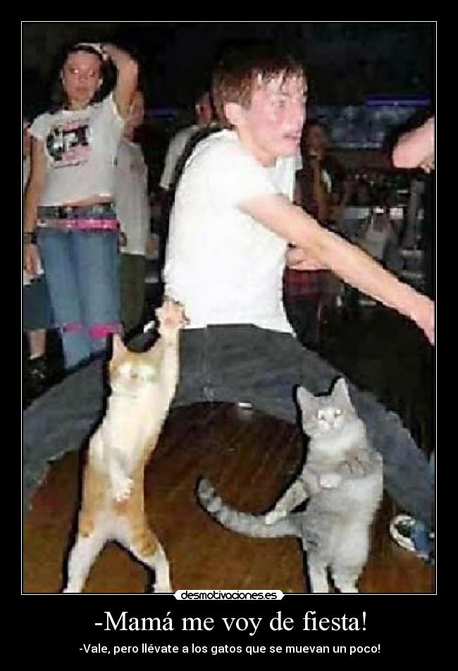 -Mamá me voy de fiesta! - -Vale, pero llévate a los gatos que se muevan un poco!