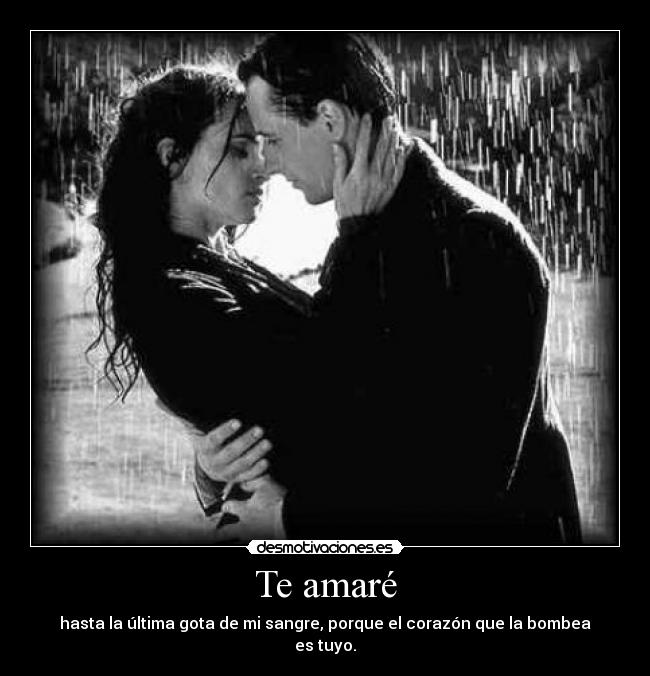 carteles rocio amor carlos amor desmotivaciones