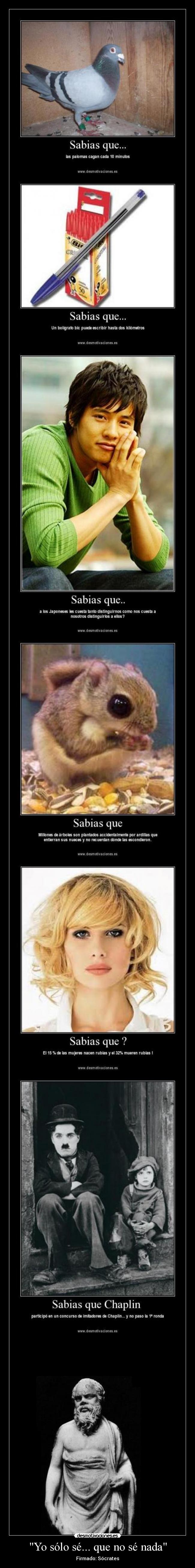 Yo sólo sé... que no sé nada - Firmado: Sócrates