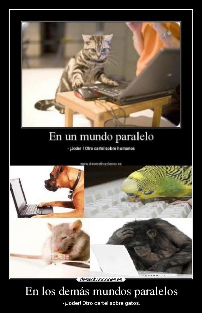 En los demás mundos paralelos - -¡Joder! Otro cartel sobre gatos.