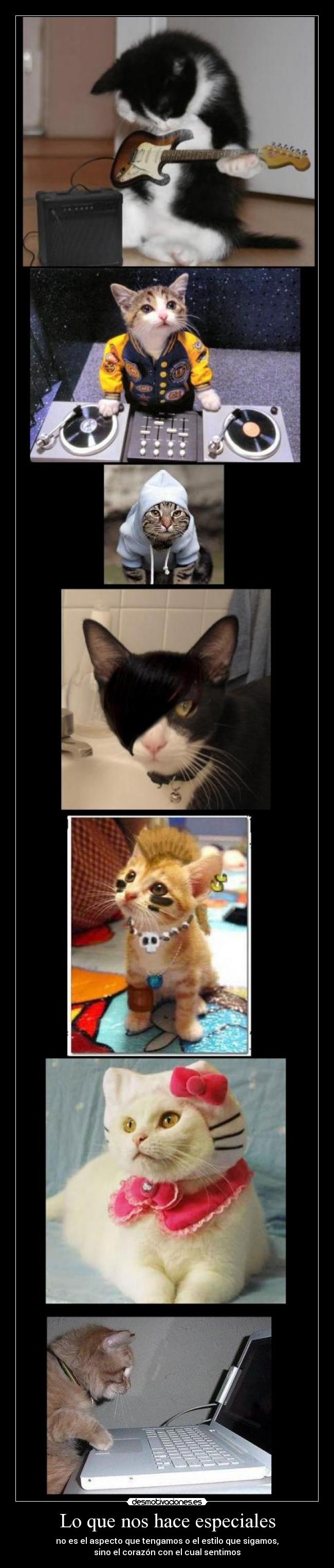 Lo que nos hace especiales -