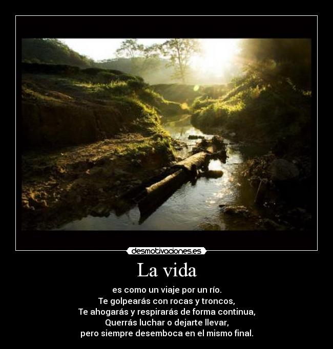 La vida - 