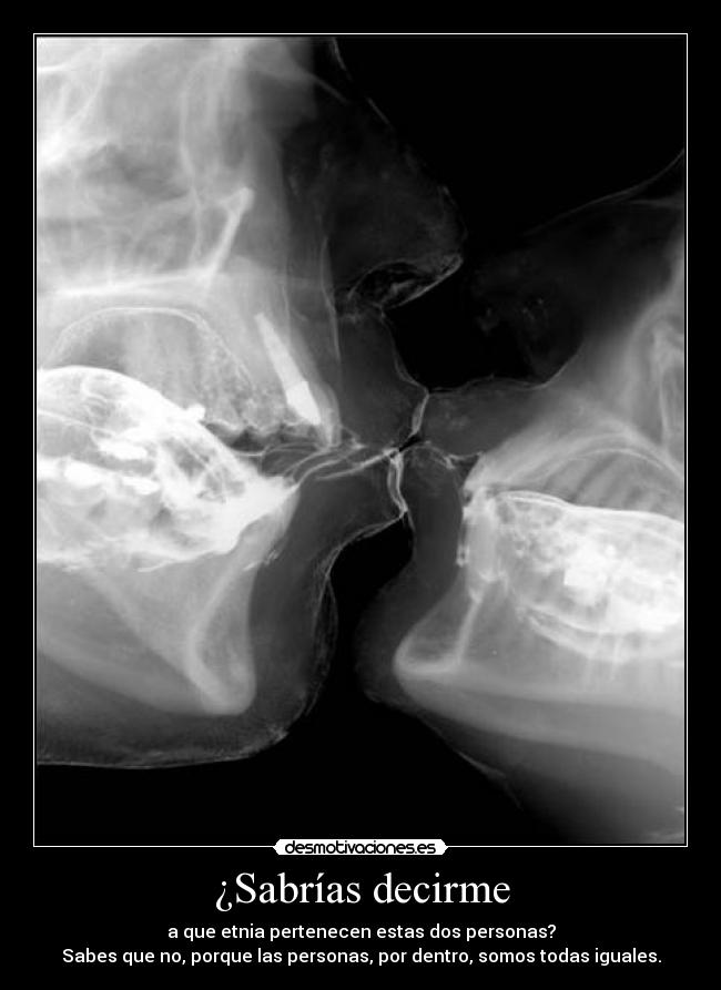 ¿Sabrías decirme - 