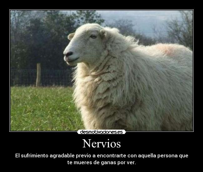 Nervios - 