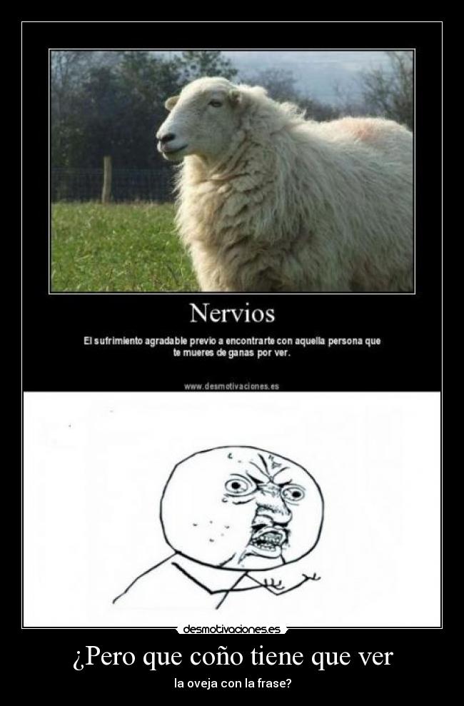 ¿Pero que coño tiene que ver -