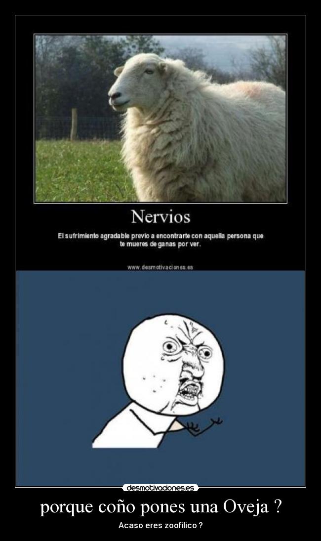 porque coño pones una Oveja ? - 