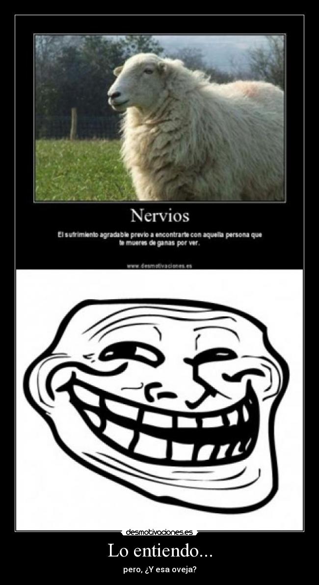 Lo entiendo... - pero, ¿Y esa oveja?
