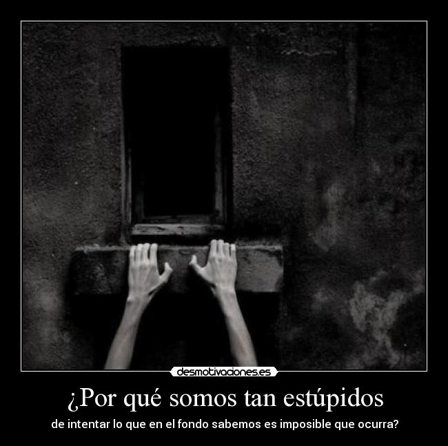 ¿Por qué somos tan estúpidos -