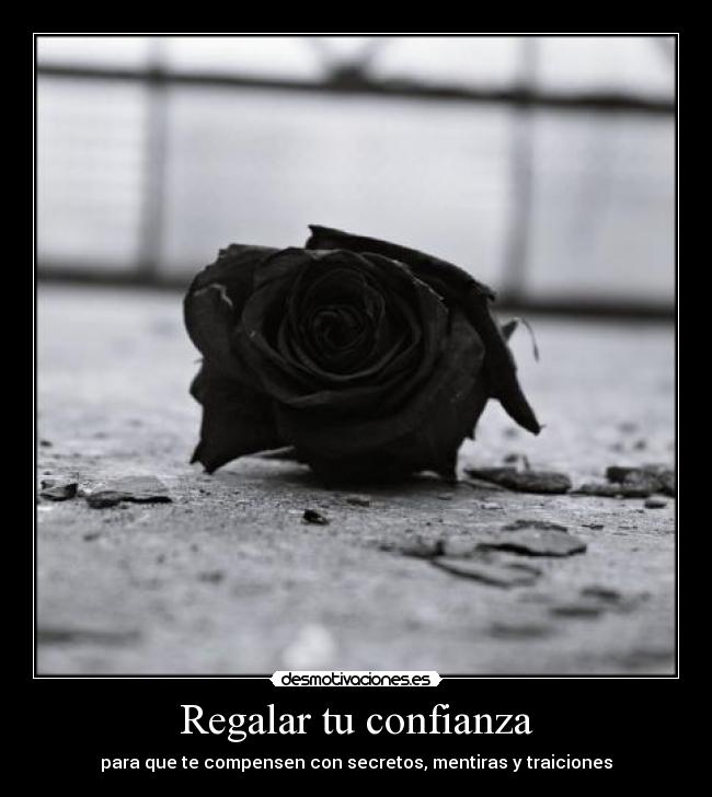 Regalar tu confianza -