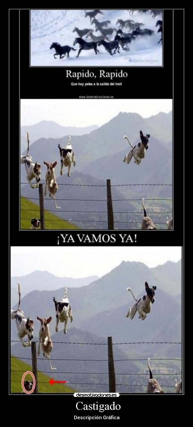 Castigado -