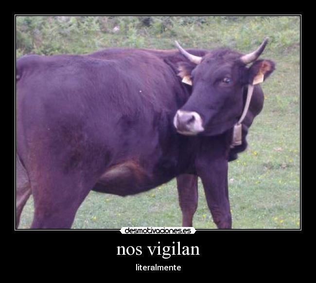 nos vigilan - literalmente