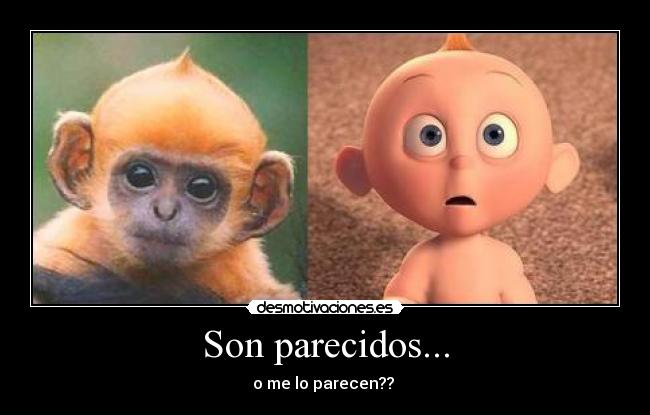 Son parecidos... - 