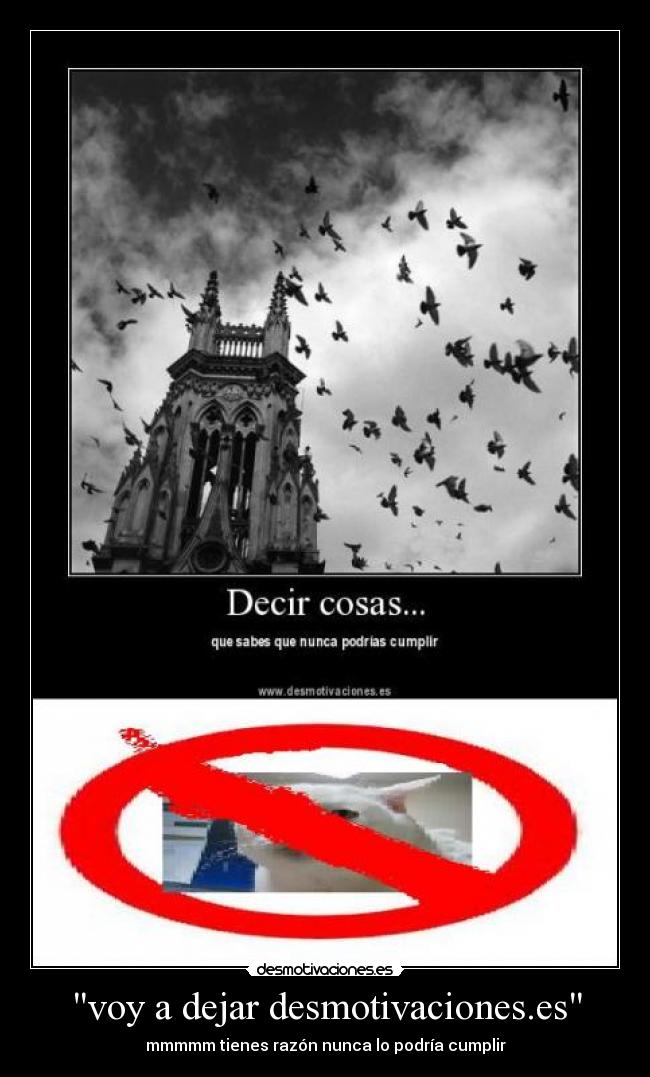 voy a dejar desmotivaciones.es - mmmmm tienes razón nunca lo podría cumplir