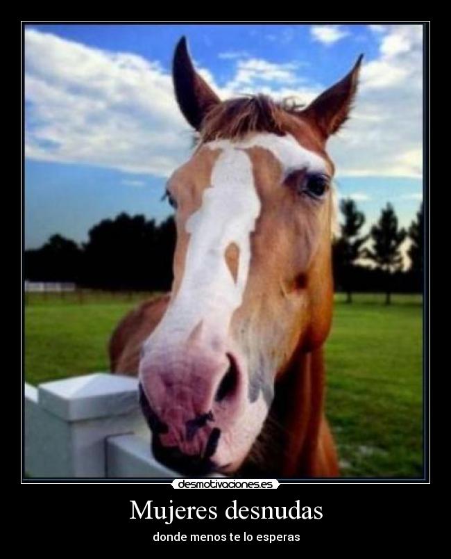 Mujeres desnudas -