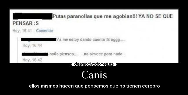 Canis -