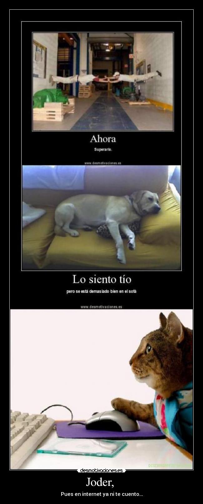 Joder, - Pues en internet ya ni te cuento...