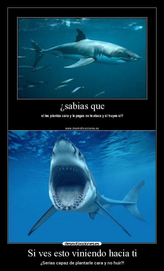 Si ves esto viniendo hacia ti -