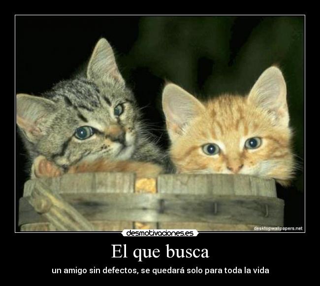 El que busca - 