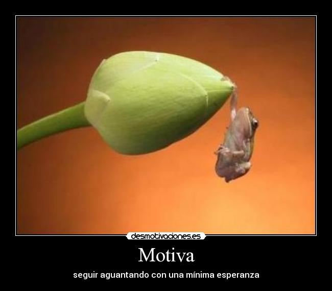 Motiva - 