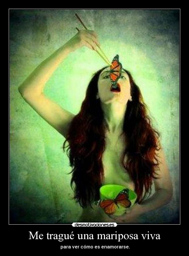 Me tragué una mariposa viva -