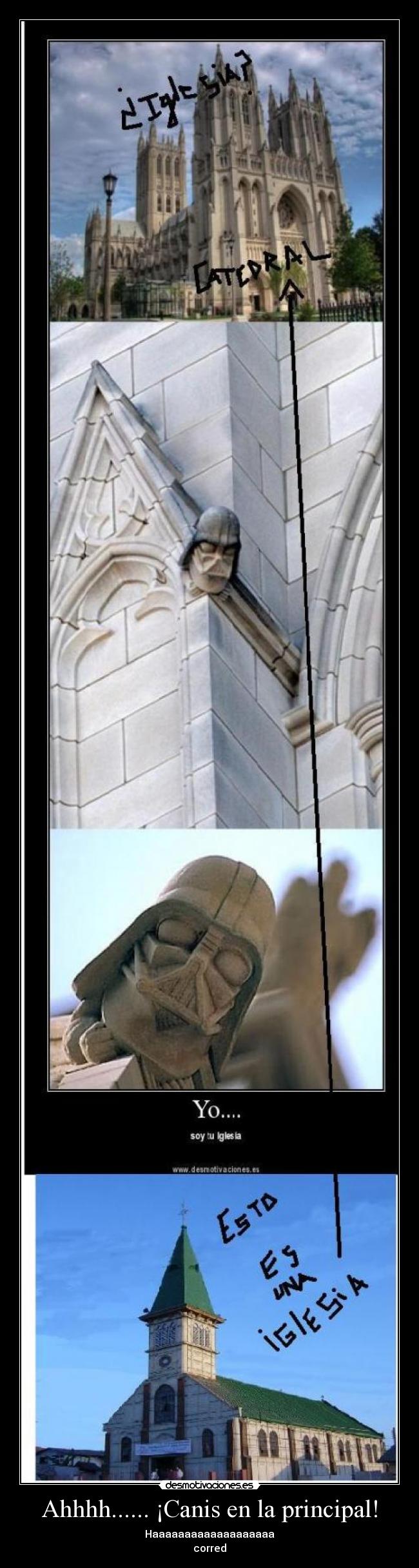 Ahhhh...... ¡Canis en la principal! - 