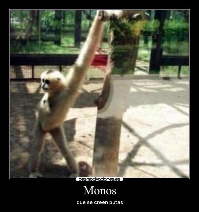 Monos - 
