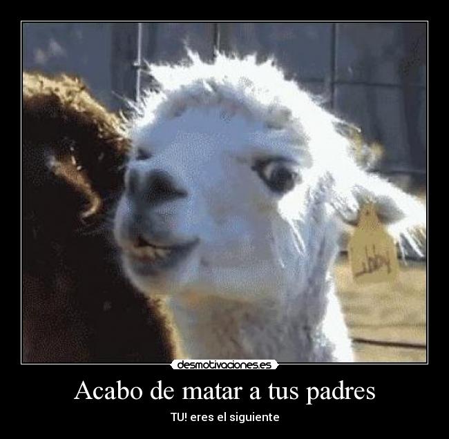 Acabo de matar a tus padres - TU! eres el siguiente