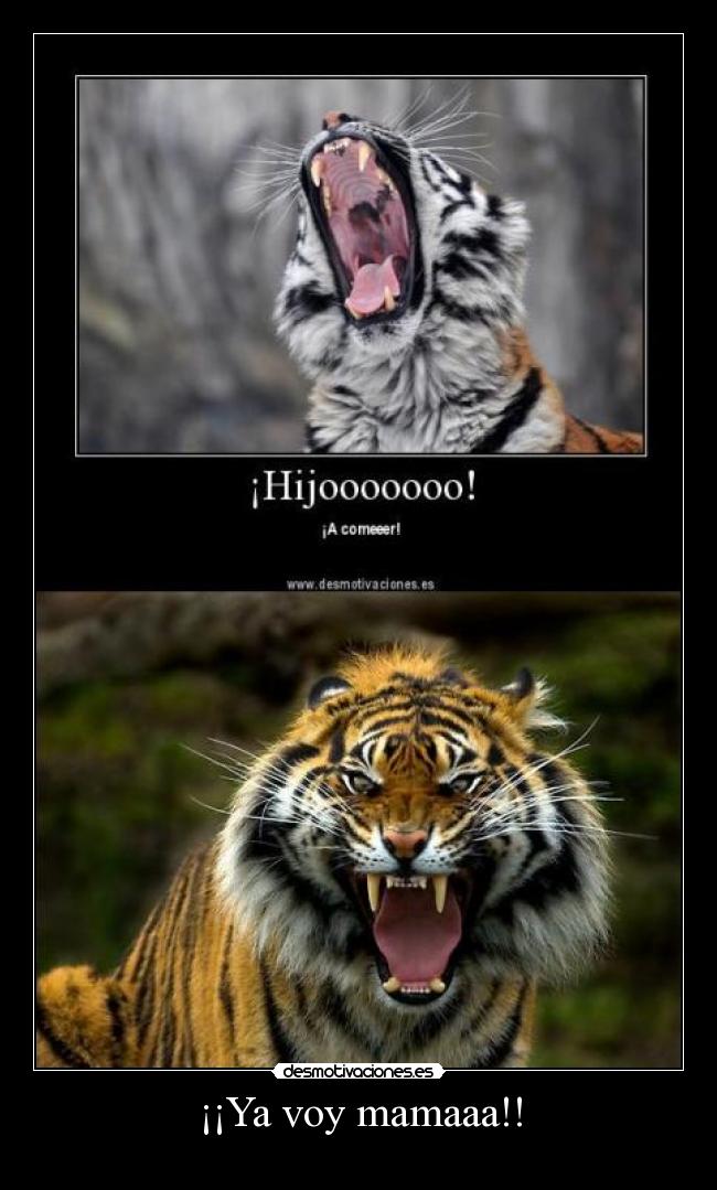 ¡¡Ya voy mamaaa!! - 