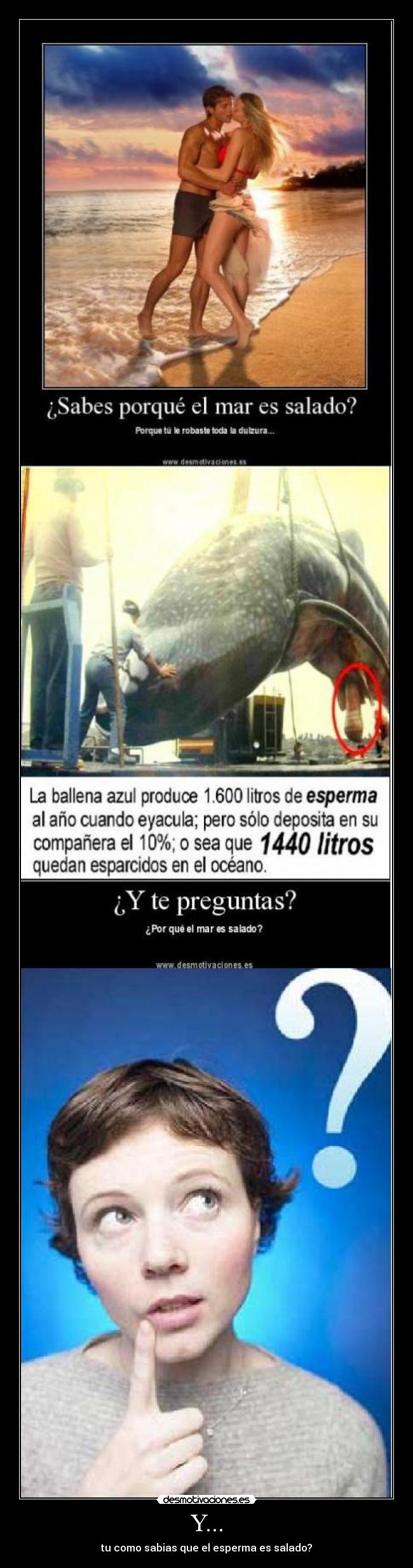 carteles esperman ballena azul mar dulce desmotivaciones