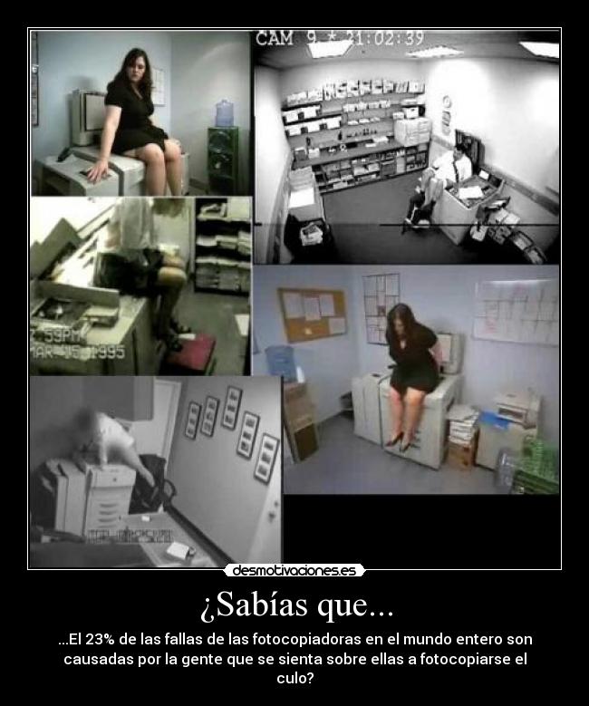 ¿Sabías que... - ...El 23% de las fallas de las fotocopiadoras en el mundo entero son
causadas por la gente que se sienta sobre ellas a fotocopiarse el
culo?