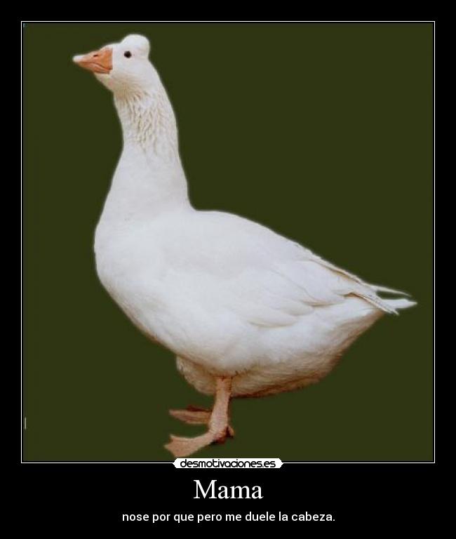 Mama -