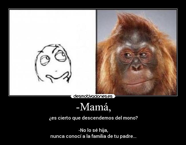 -Mamá, - ¿es cierto que descendemos del mono?
-No lo sé hija,
nunca conocí a la familia de tu padre...