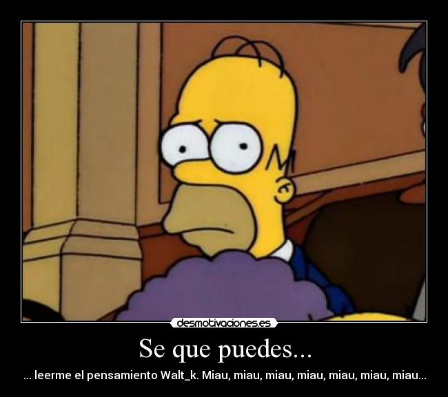 Se que puedes... - ... leerme el pensamiento Walt_k. Miau, miau, miau, miau, miau, miau, miau...