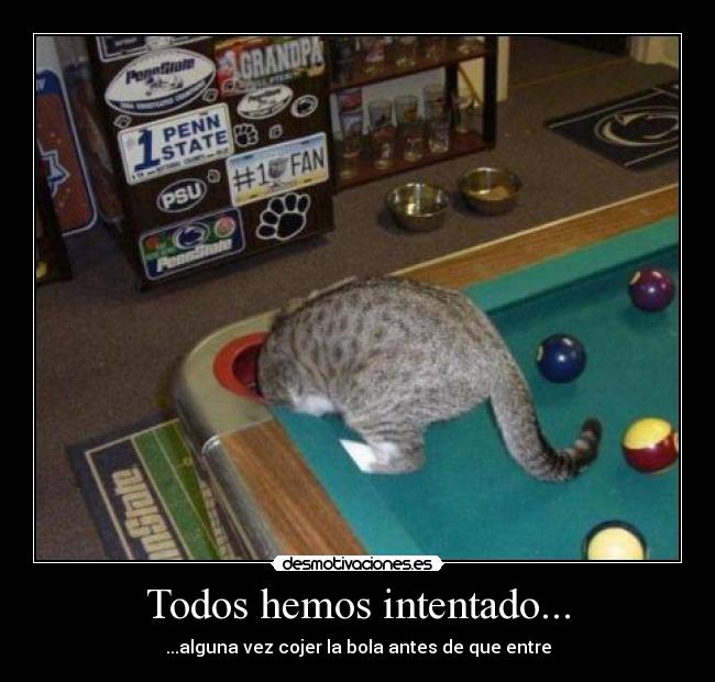 carteles bola cojer intentado desmotivaciones