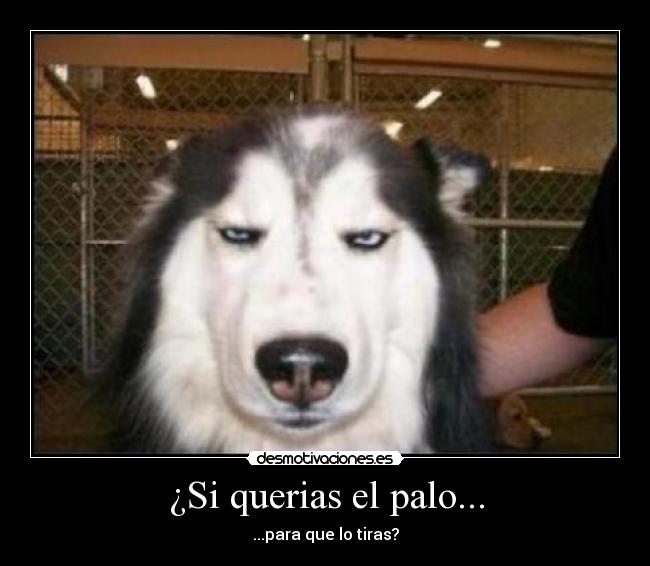 ¿Si querias el palo... - 