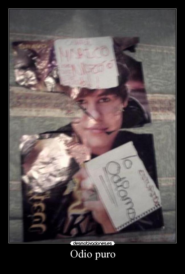 carteles odio justin bieber desmotivaciones