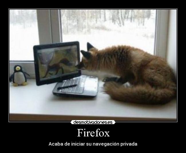 Firefox -