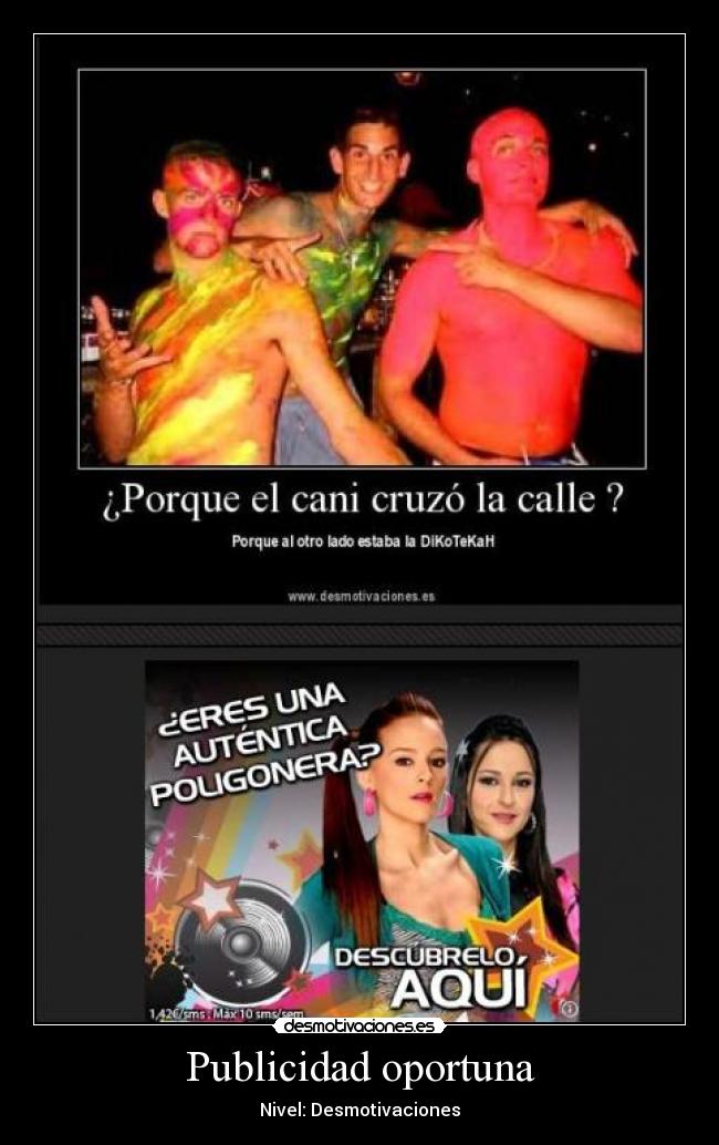 carteles desmotivaciones canis poligonera desmotivaciones