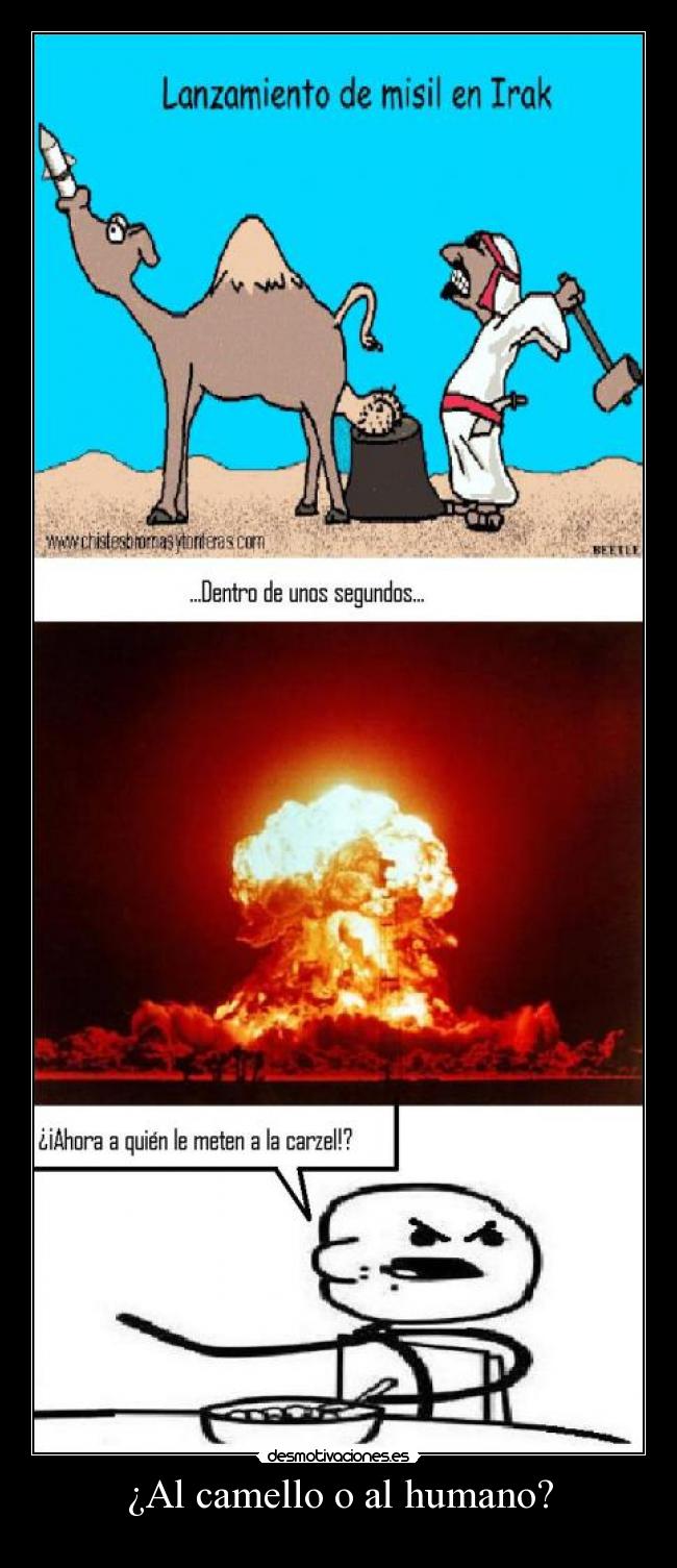¿Al camello o al humano? - 