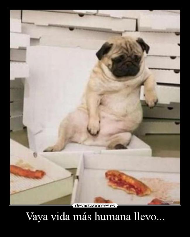 Vaya vida más humana llevo... -
