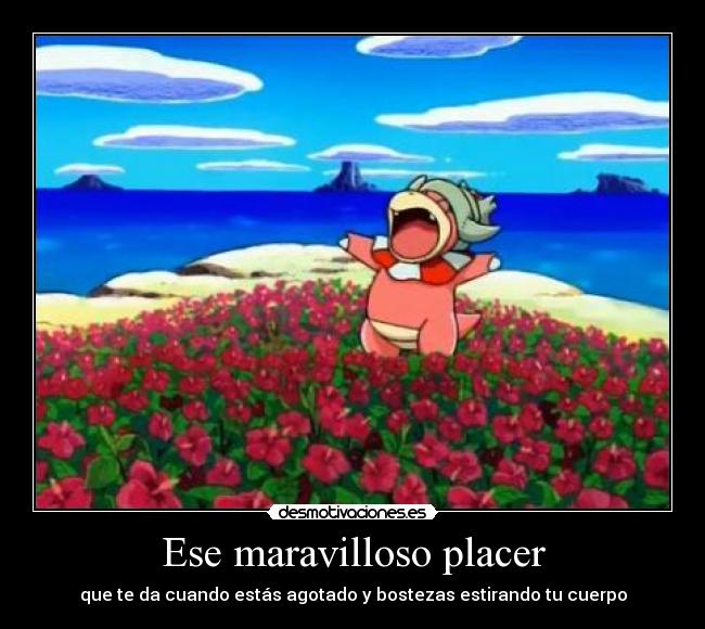 Ese maravilloso placer - 