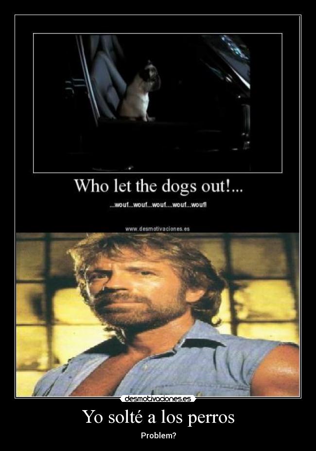 Yo solté a los perros - Problem?