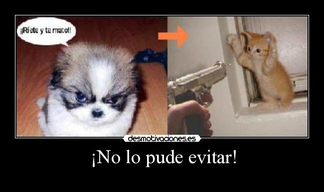 ¡No lo pude evitar! - 